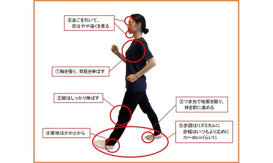 骨粗しょう症リスク除去できない原因と除去できる原因の図