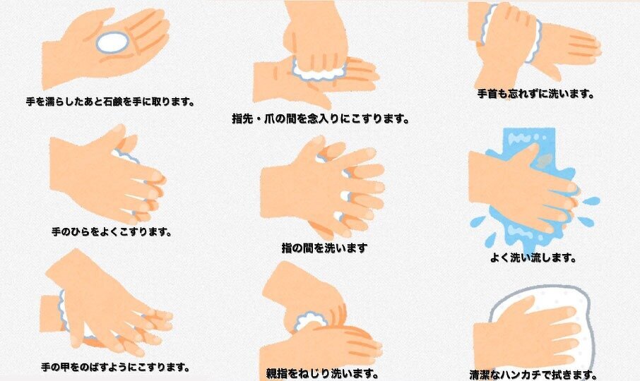 画像:手洗いの順番