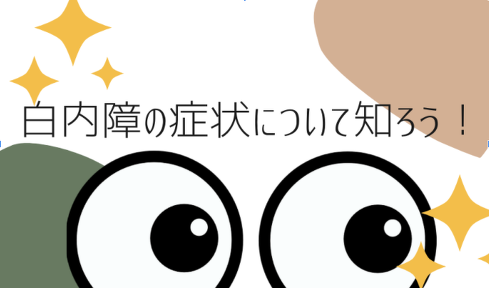 白内障の症状について知ろう！